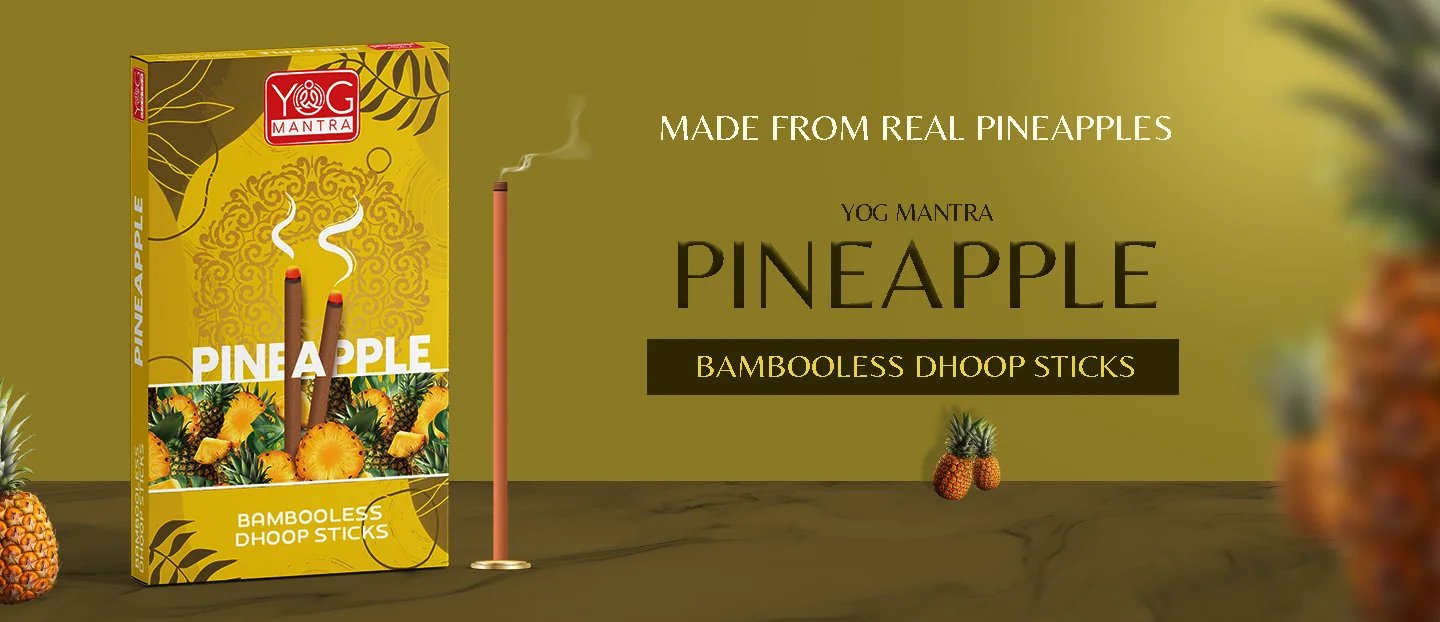 pineapple banner